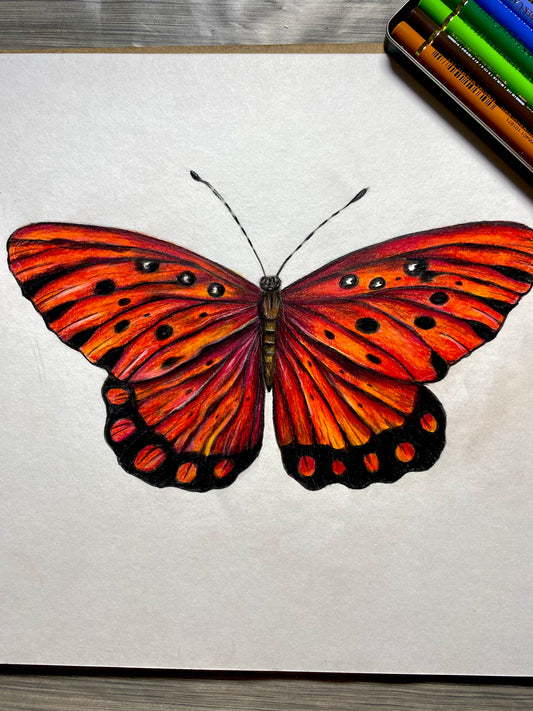 Curso - Mariposa en Lápices de Colores