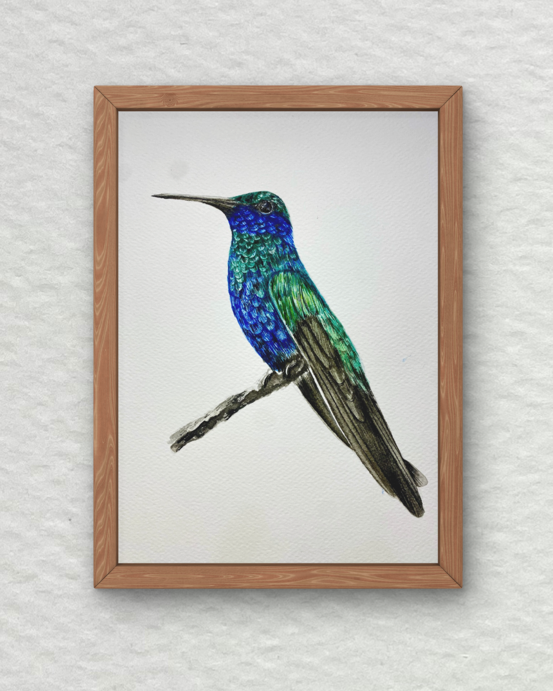 Course - Hummingbird in Watercolor