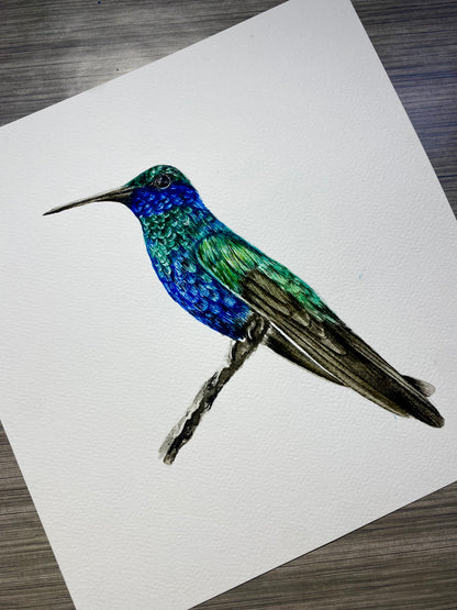 Course - Hummingbird in Watercolor