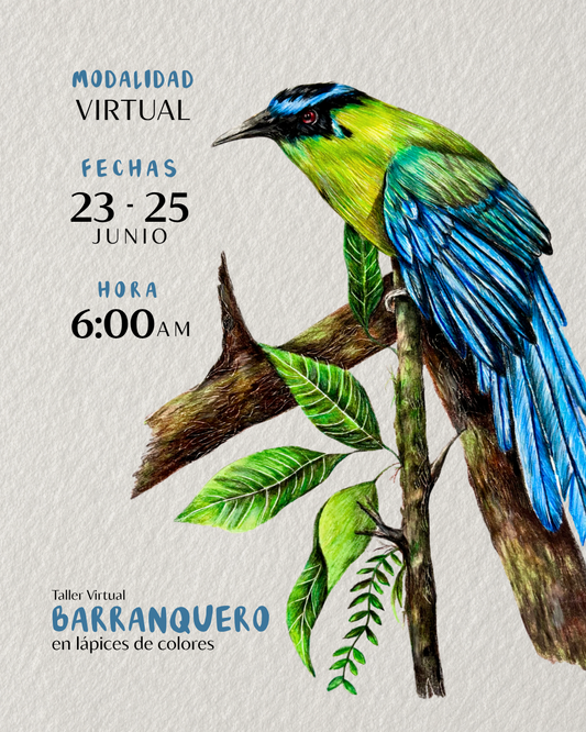 Taller Virtual En Vivo - Barranquero en Lápices de Colores