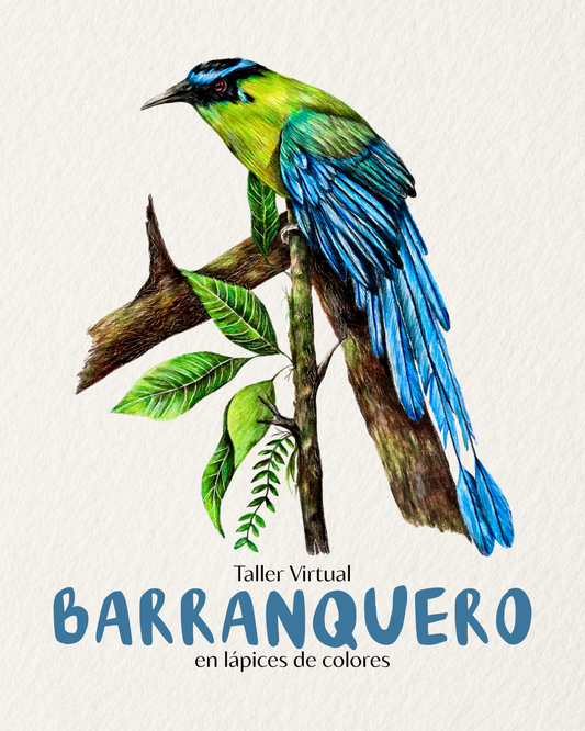 Taller Virtual En Vivo - Barranquero en Lápices de Colores