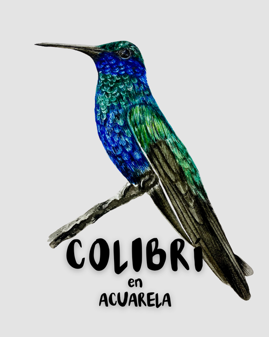 Curso - Colibrí en Acuarela