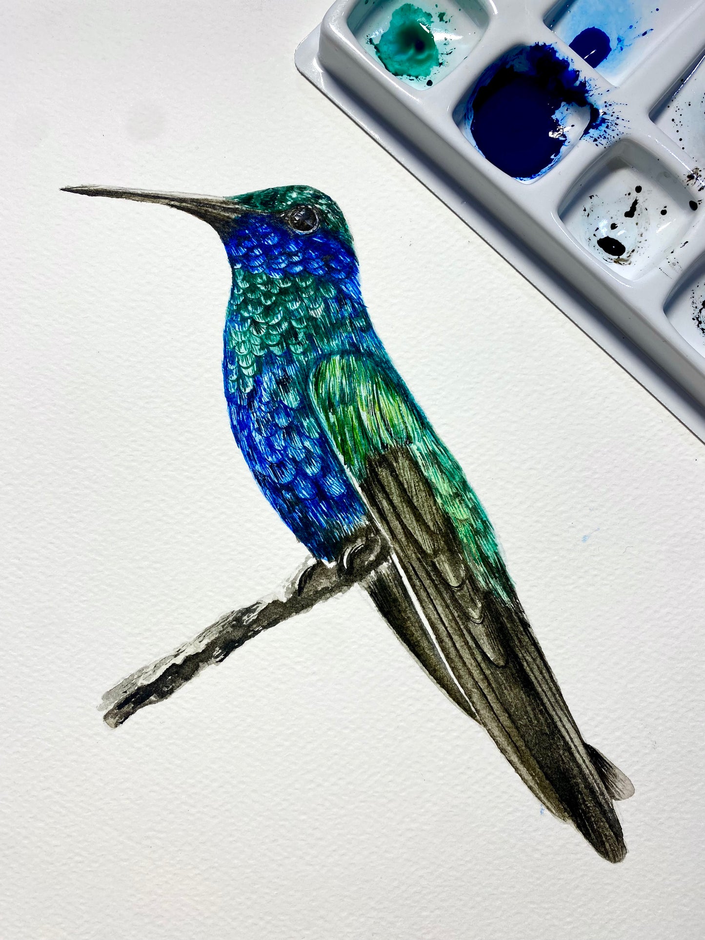 Course - Hummingbird in Watercolor