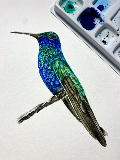 Course - Hummingbird in Watercolor
