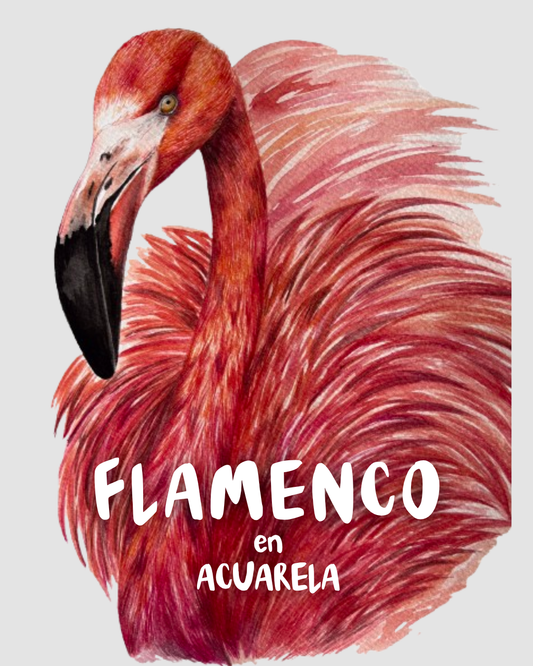 Curso - Flamenco rosado en Acuarela