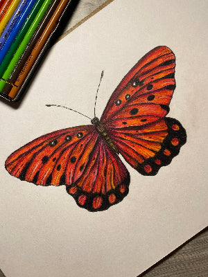 Curso - Mariposa en Lápices de Colores