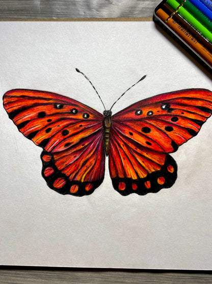 Curso - Mariposa en Lápices de Colores