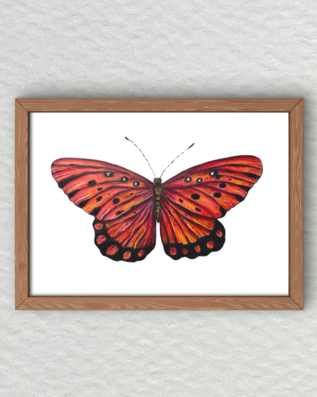 Curso - Mariposa en Lápices de Colores
