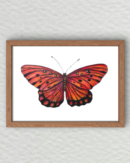 Curso - Mariposa en Lápices de Colores