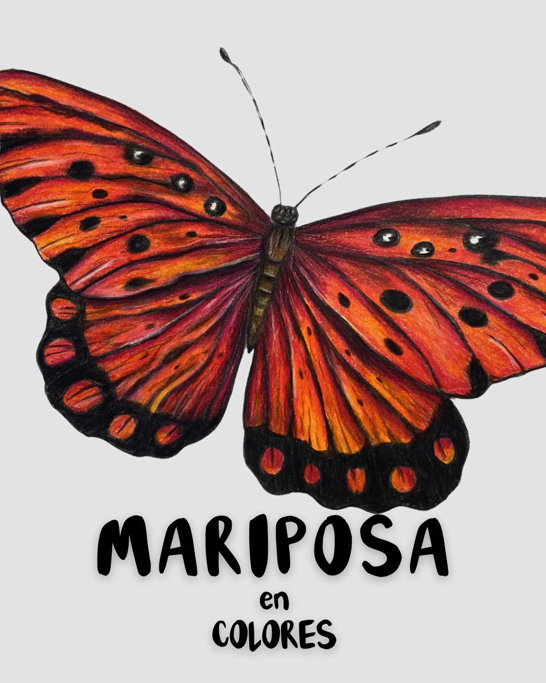 Curso - Mariposa en Lápices de Colores
