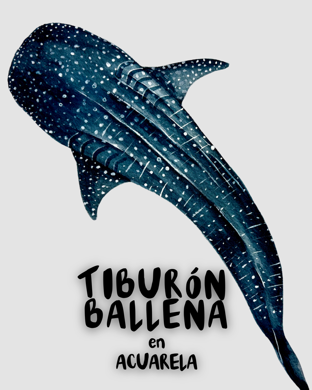 Curso - Tiburón Ballena en Acuarela