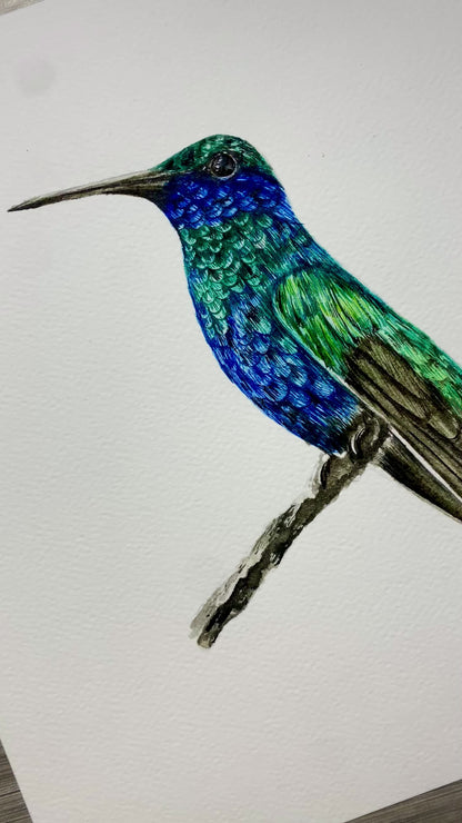 Course - Hummingbird in Watercolor