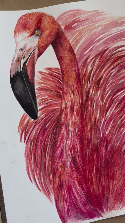 Course - Flamenco in Watercolor
